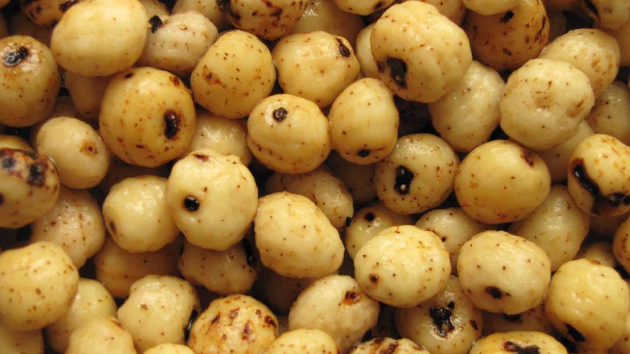 Tiger Nut